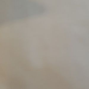 Wholesale vendor list